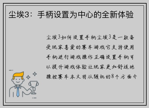 尘埃3：手柄设置为中心的全新体验